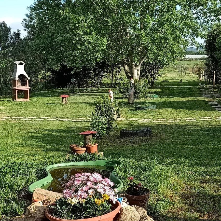 Agriturismo Il Cipresso Вада Экстерьер фото