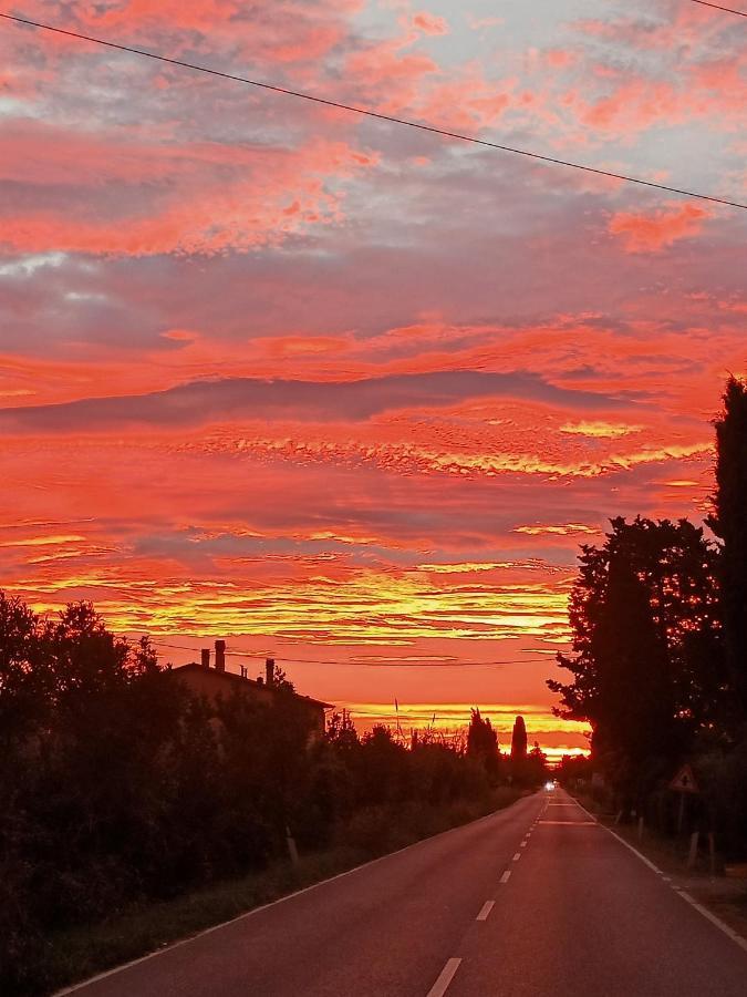 Agriturismo Il Cipresso Вада Экстерьер фото