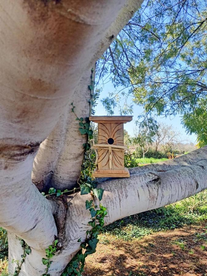 Agriturismo Il Cipresso Вада Экстерьер фото
