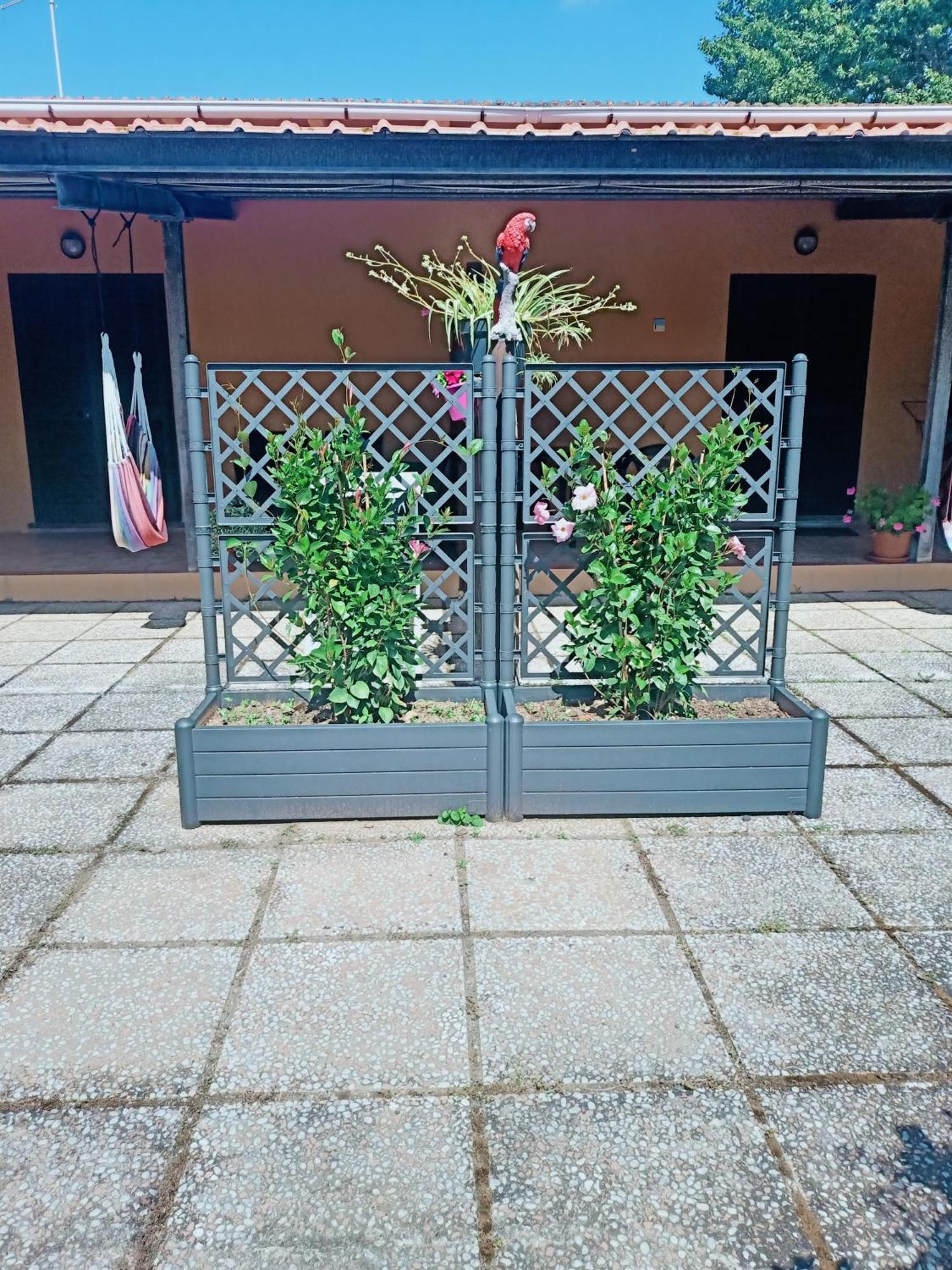 Agriturismo Il Cipresso Вада Экстерьер фото