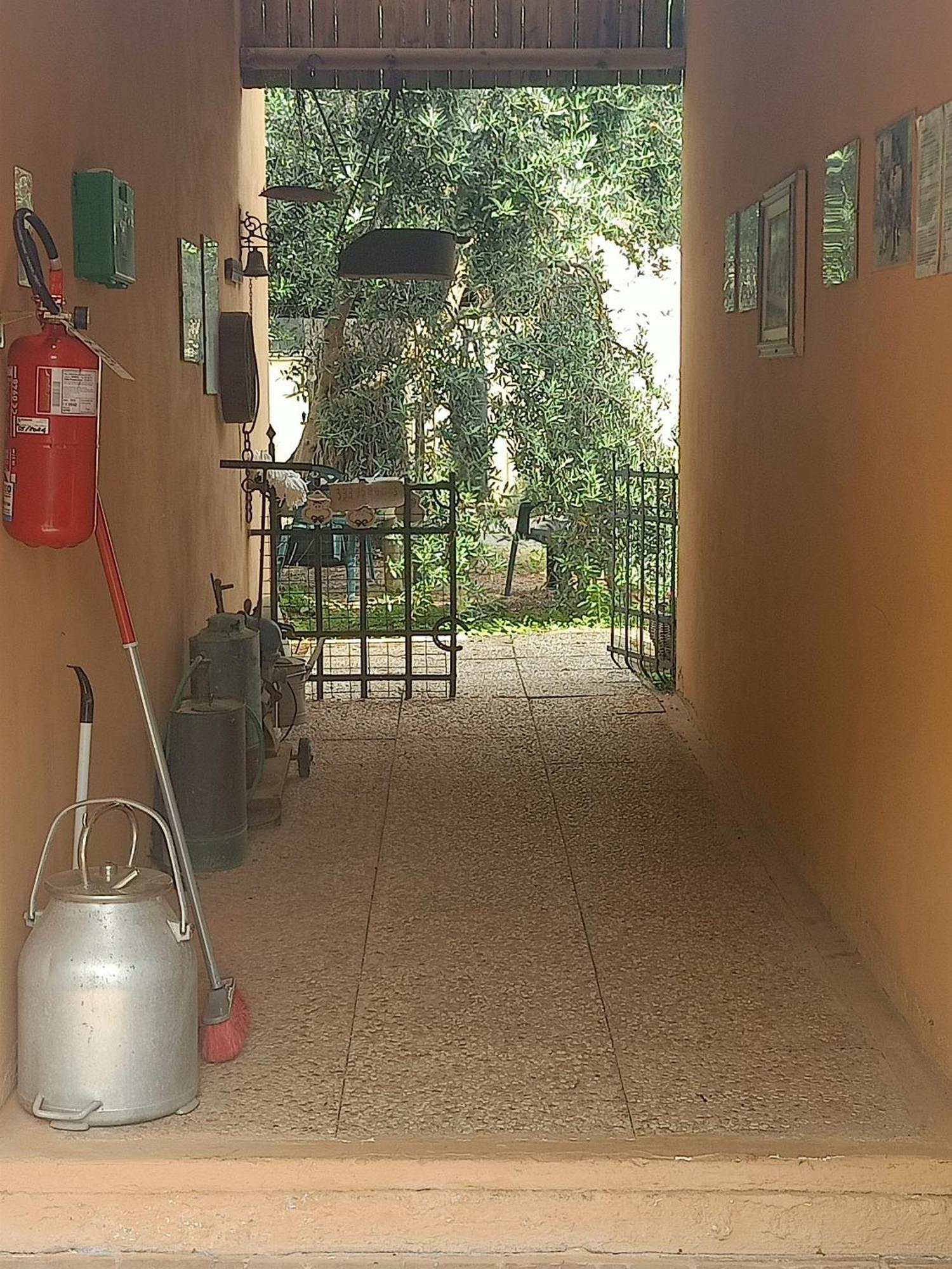 Agriturismo Il Cipresso Вада Экстерьер фото